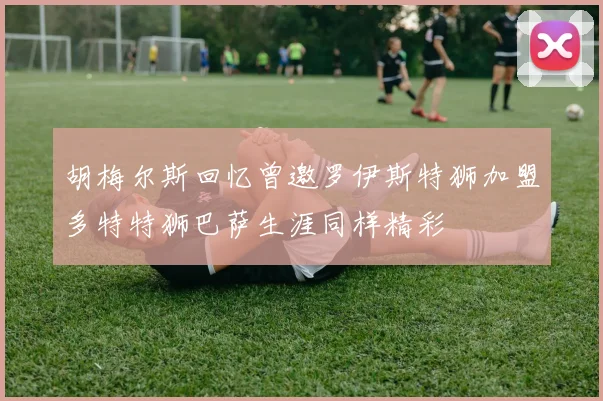 胡梅尔斯回忆曾邀罗伊斯特狮加盟多特特狮巴萨生涯同样精彩