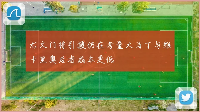 尤文门将引援仍在考量大马丁与维卡里奥后者成本更低